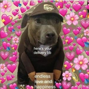 Meet your Posher, Isabel